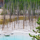 Illustration for article titled Photodump: Yellowstone National Park